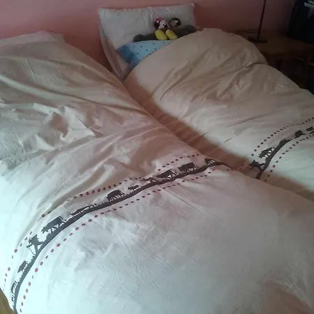 公寓 Joie De Vivre St Jean 格雷索圣尚